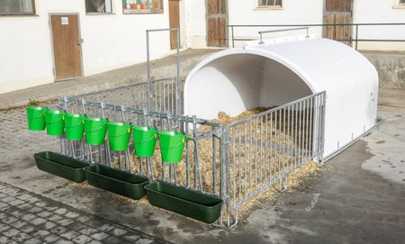 Budka dla cieląt Premium XXL z wygrodzeniem, Kerbl