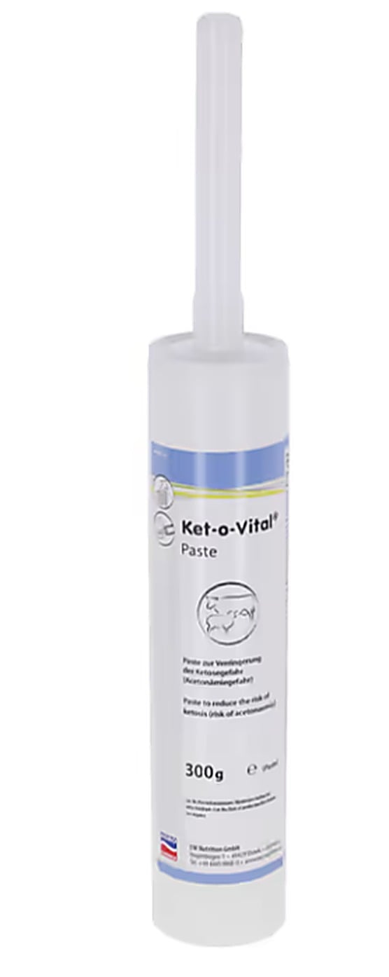 Pasta Ket-o-Vital 300 gram, Kerbl